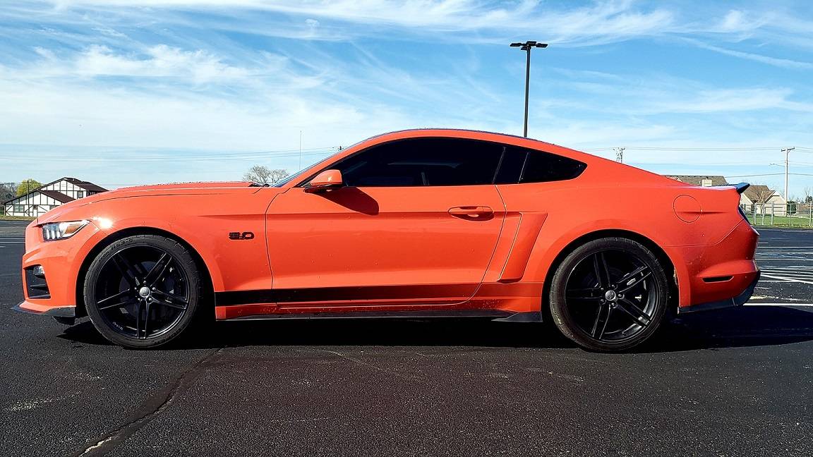 side view33.jpg