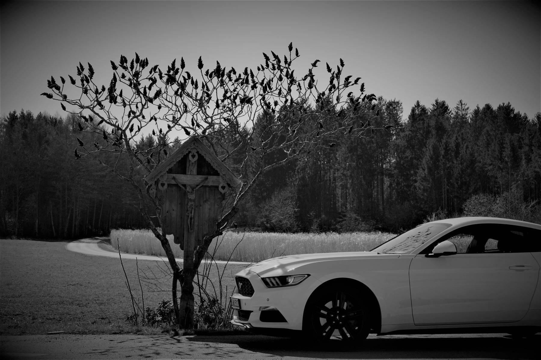 K1600_DSC06724 (3).JPG