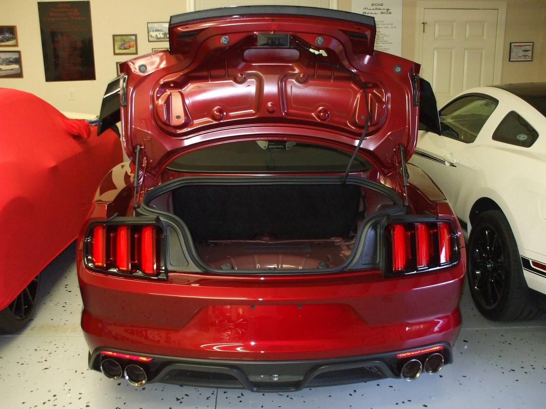 DSCF2244.webp
