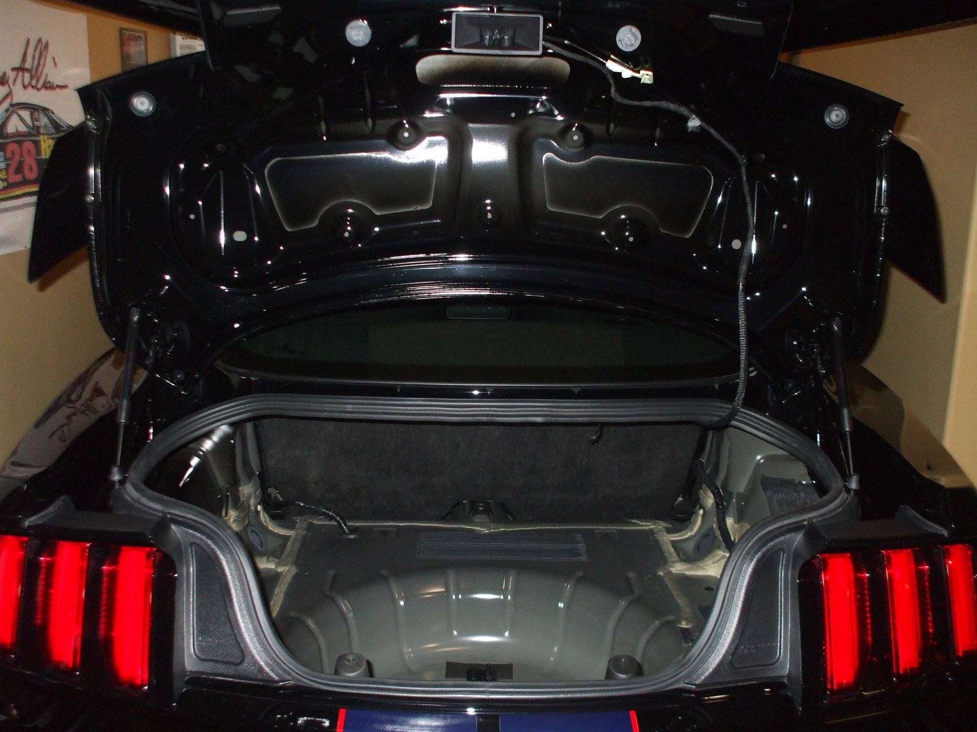 DSCF2570.JPG