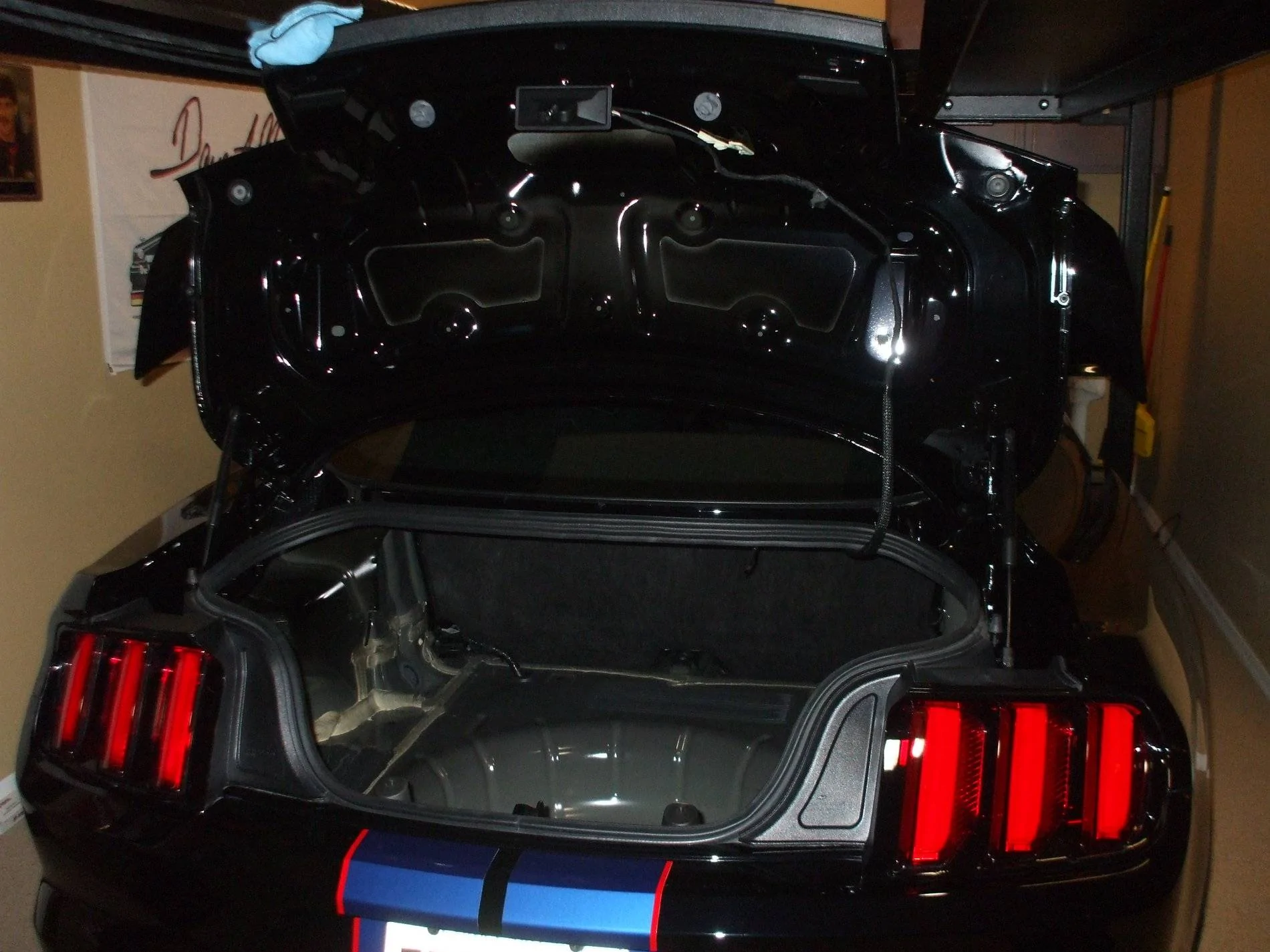 DSCF2574.webp
