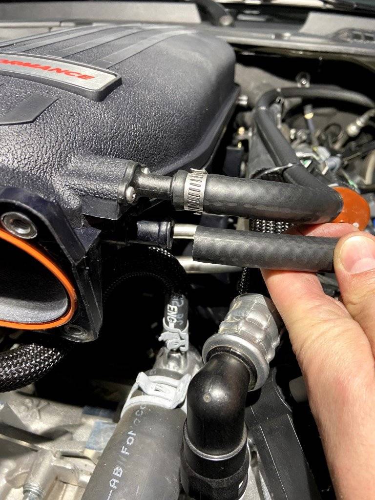IMG_0430 (Medium).jpg