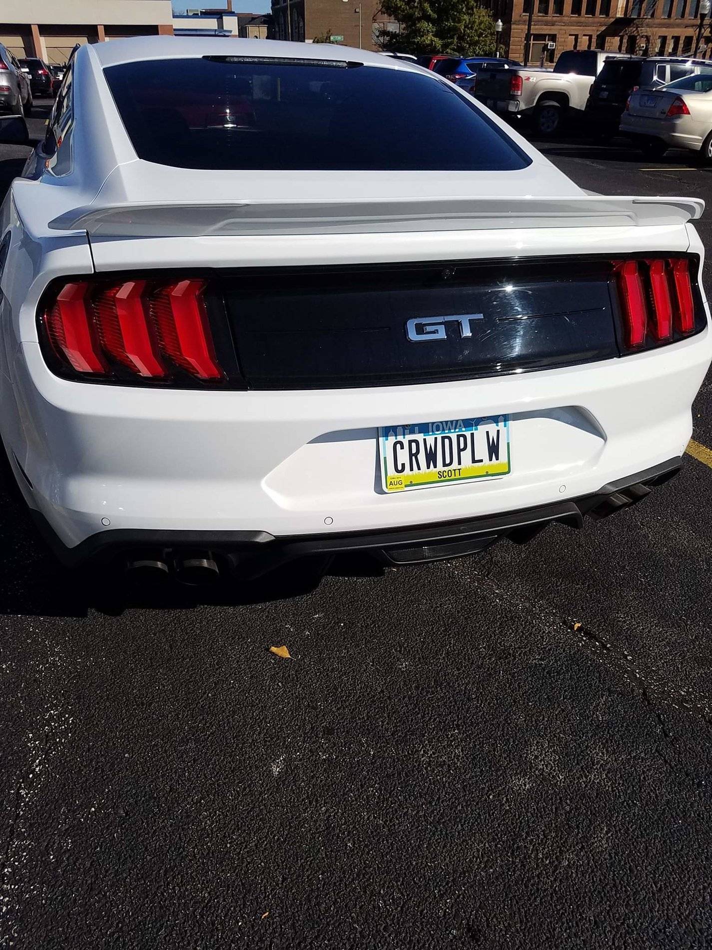 terryplate.jpg