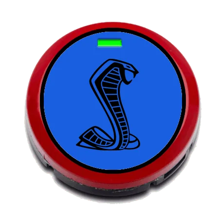 black-snake-with-vb-bg.webp