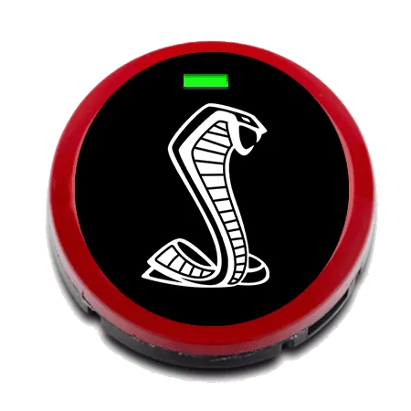 white-snake.webp