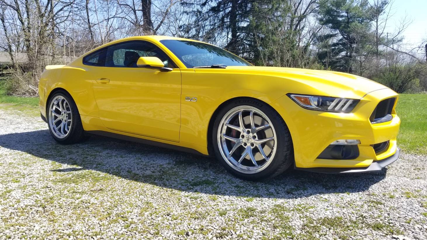 20200408_145605.jpg