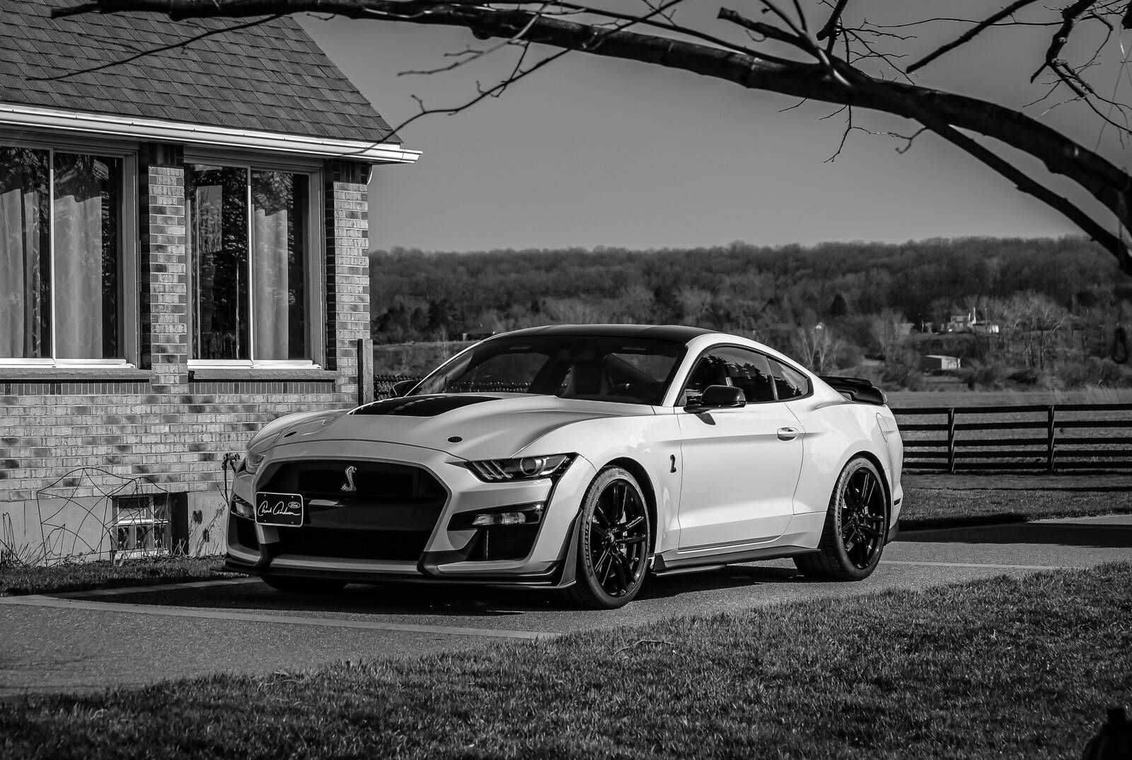 IMG_6579-X3.jpg