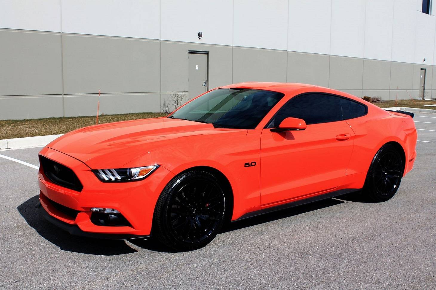 Tang 34 front2.jpg