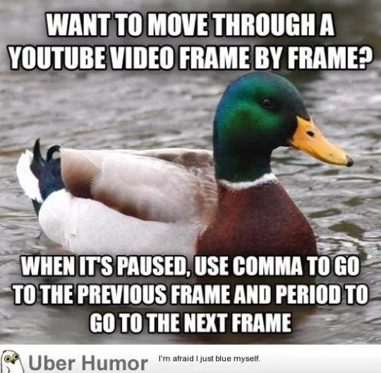 tumblr_opkcpwhzBZ1rhpn4yo1_540.webp