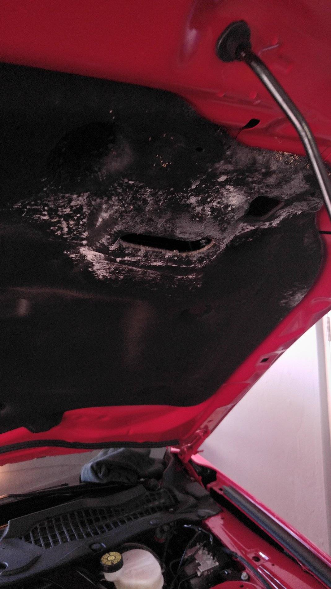 Hood Vent Moisture.jpg