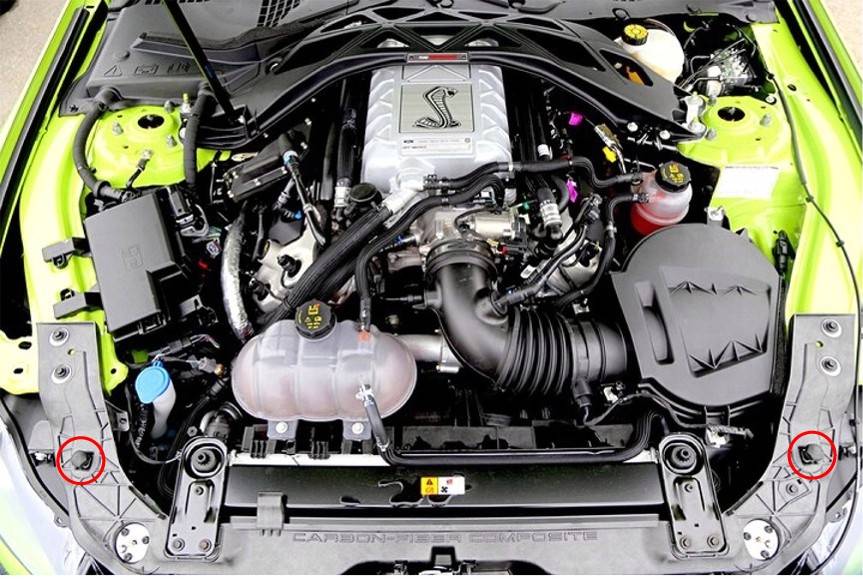2020 GT500 Hood Bumpers.jpg