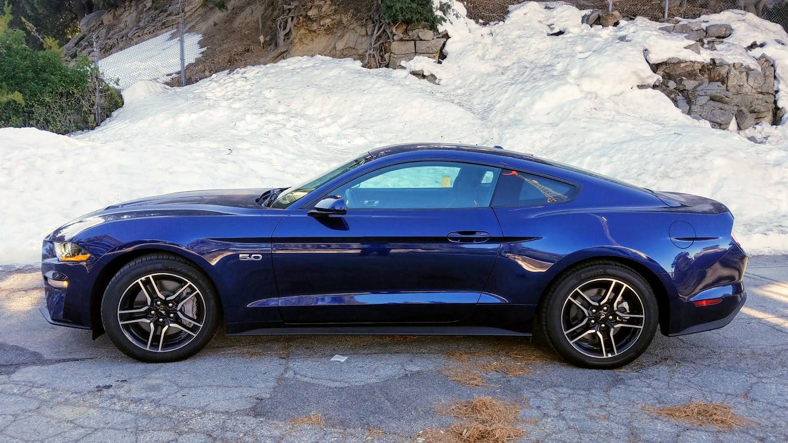 mustang.jpg