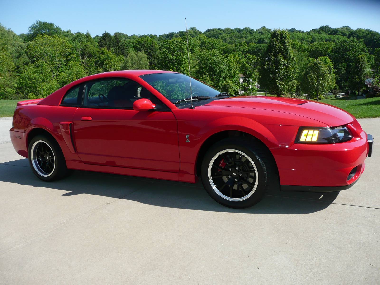 03 Cobra 006.jpg
