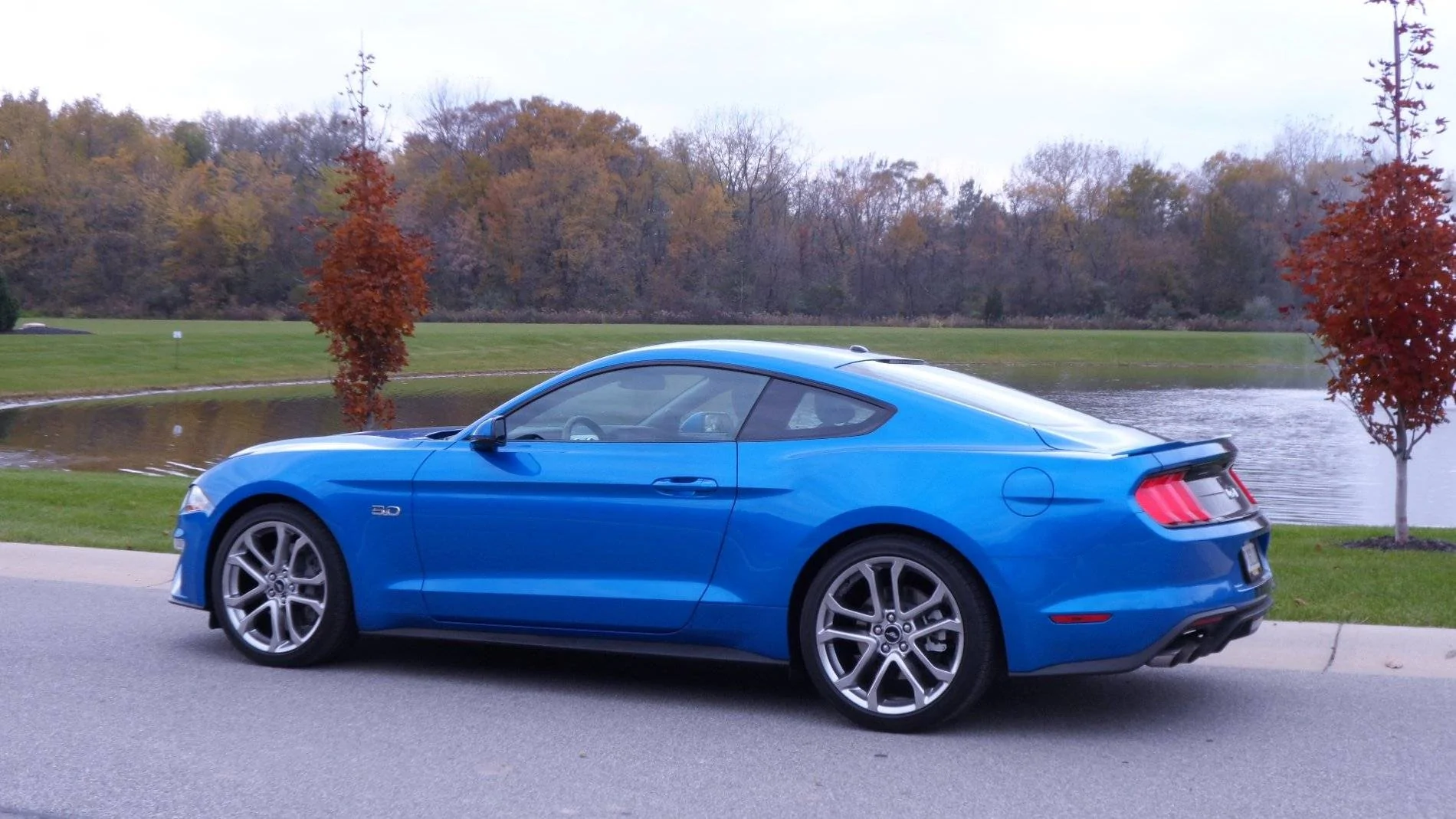 mustang@ copper creek 2.webp