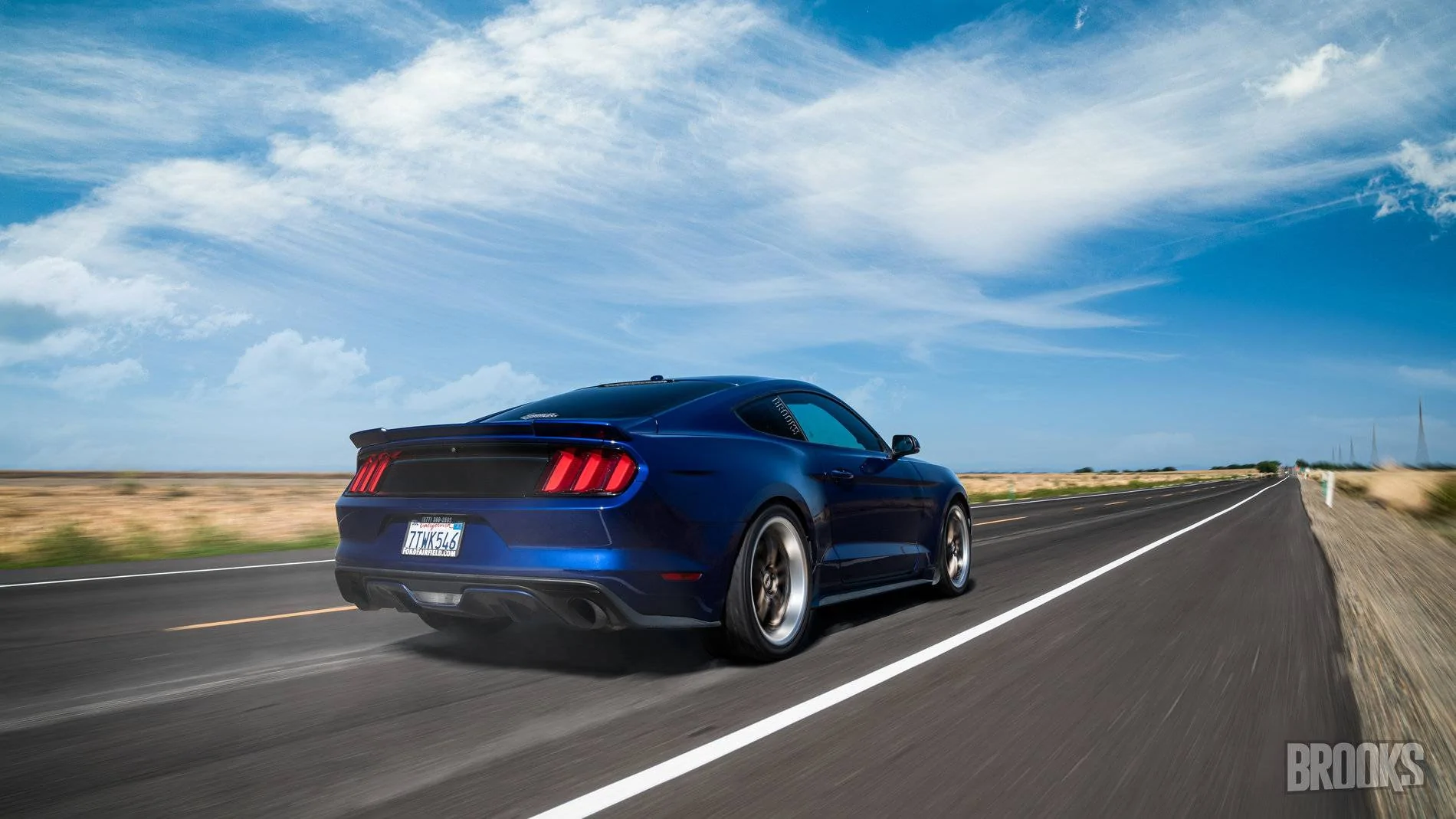 mustang 334-2.webp