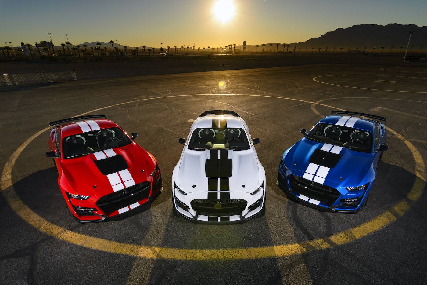 2020-Mustang-Shelby-GT500-5705.jpg