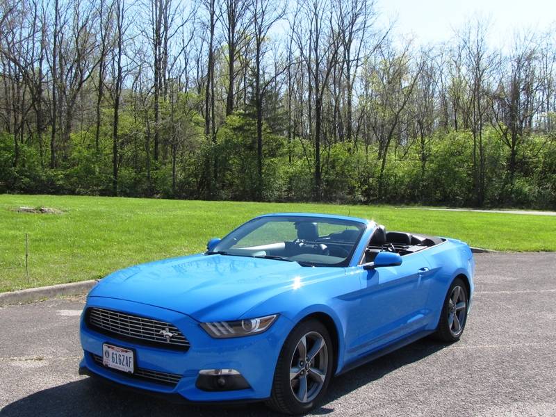mustang 1.JPG