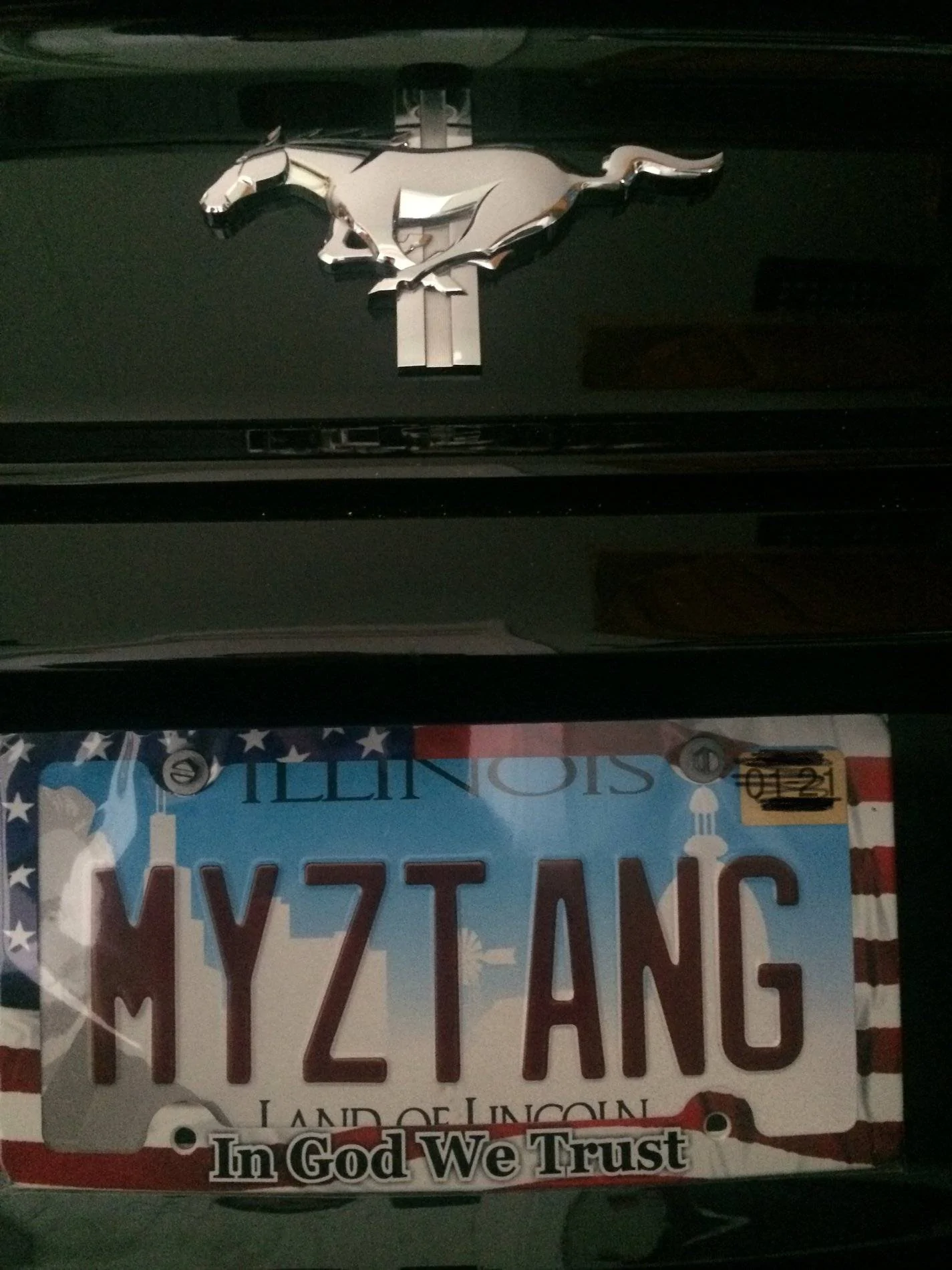 MYZTANG.webp