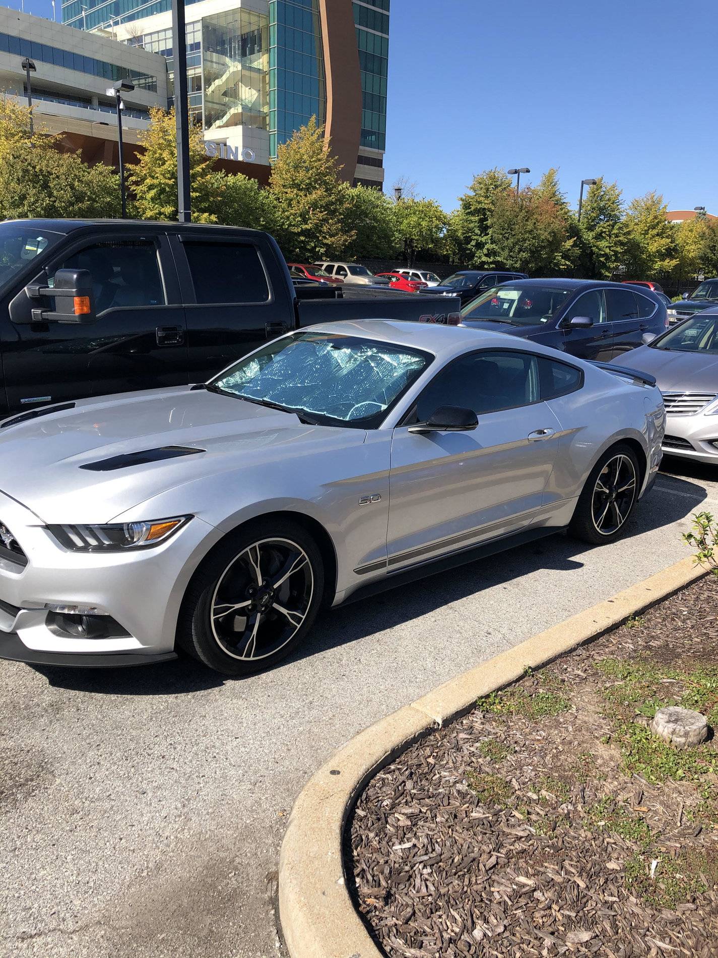 mustang 1.jpg