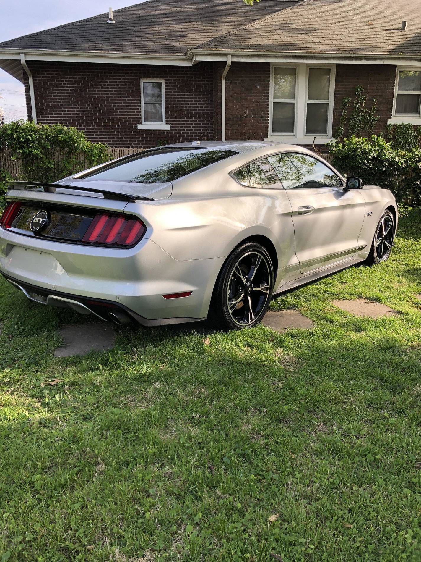 mustang 2.jpg