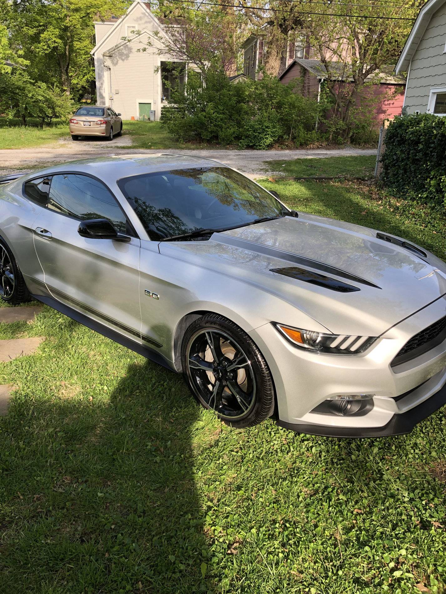 mustang 3.jpg
