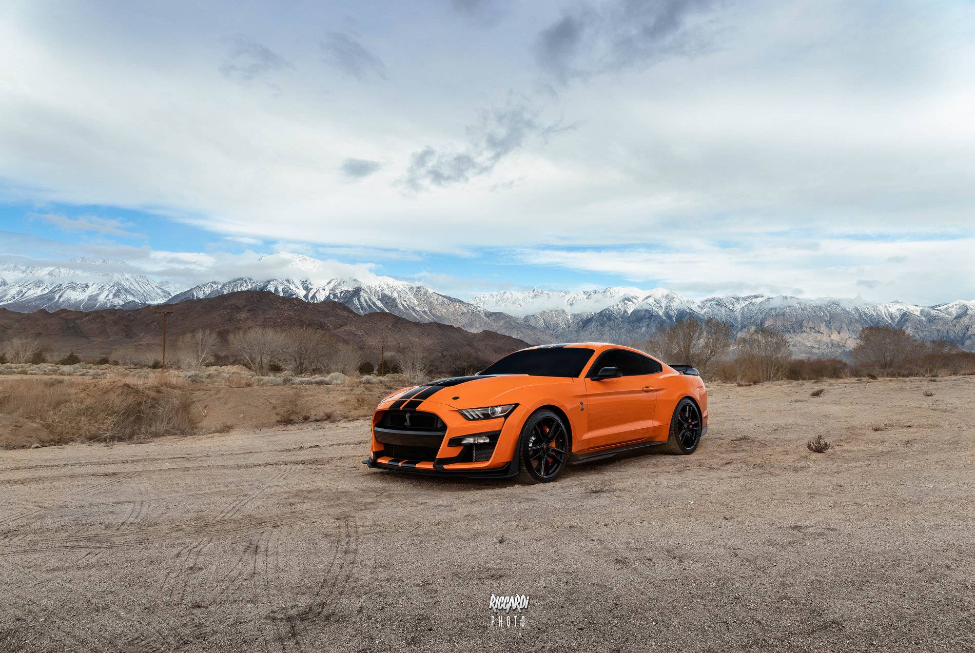 2A3A2229-Edit.JPG