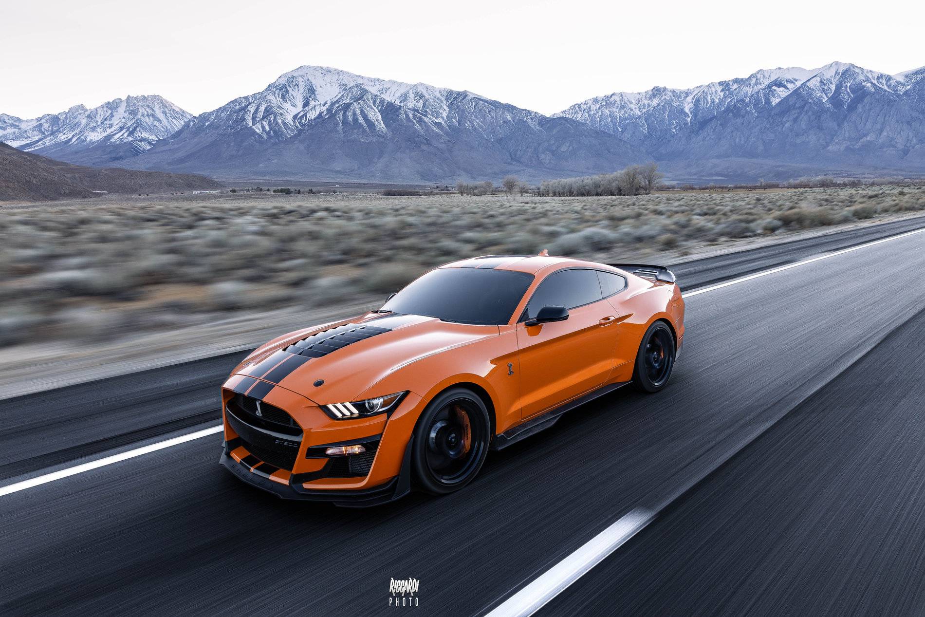 2A3A2715-Edit-Edit.JPG
