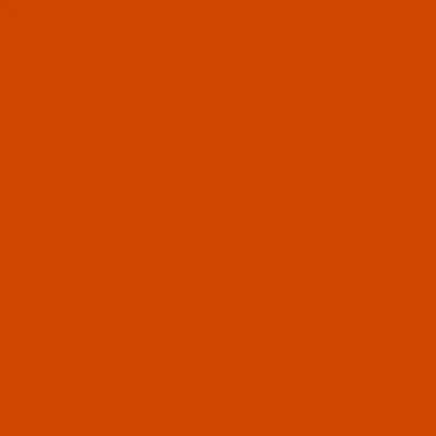 Bright Orange.webp