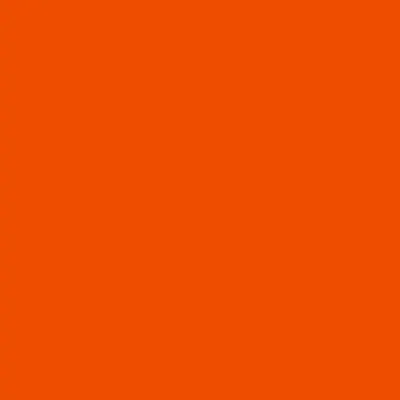 Burnt Orange.webp