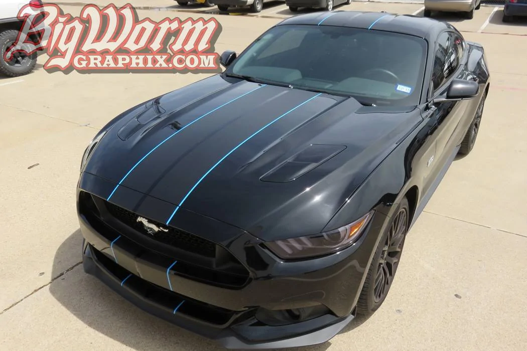 Stripe Design.webp