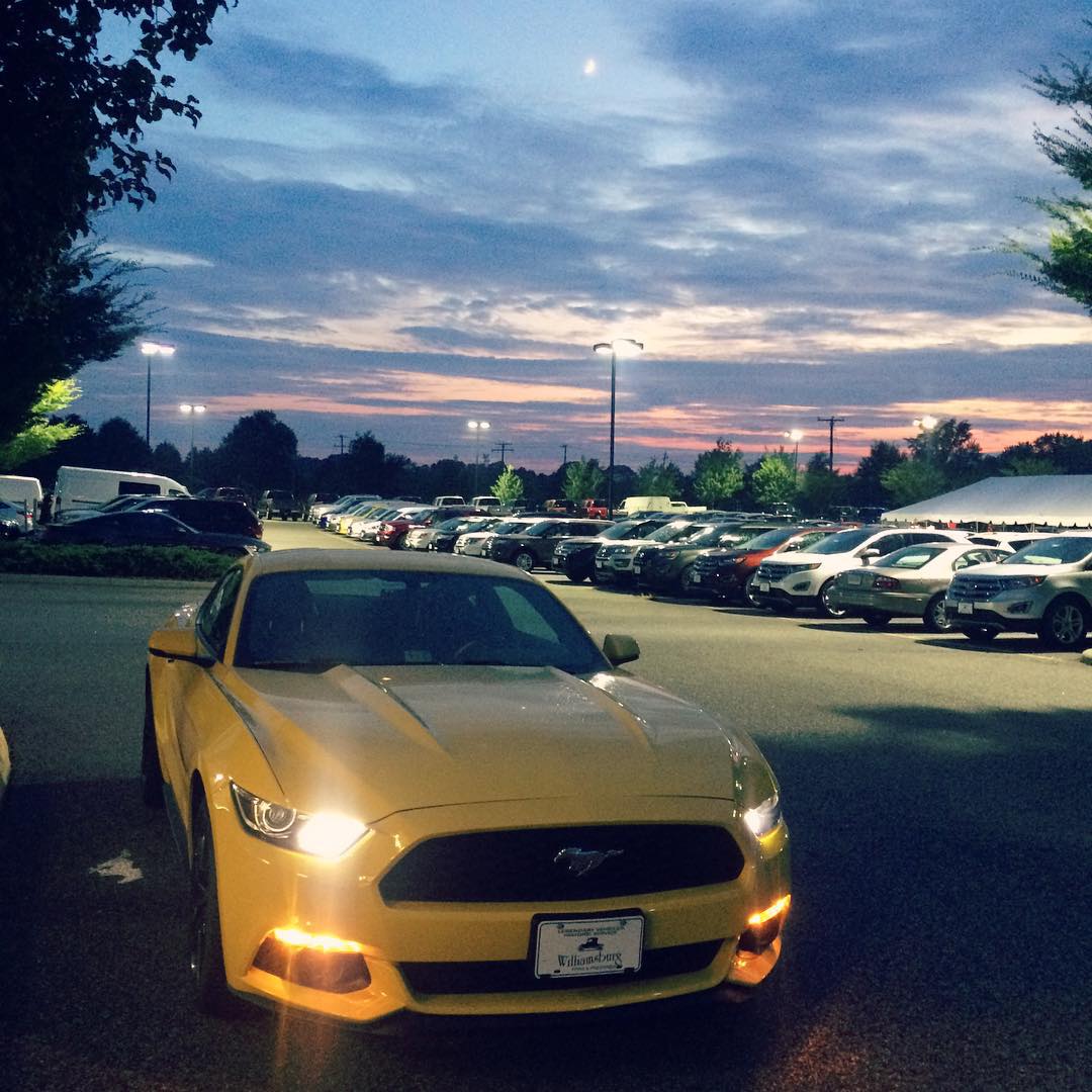 stang.jpg
