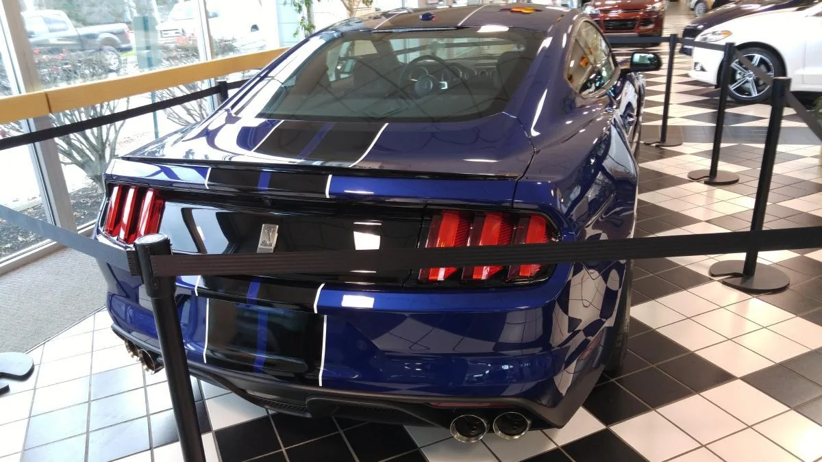 20151113_150314.webp