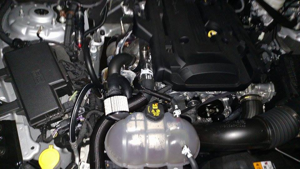 12226911_10153372899086374_25326973_n.jpg