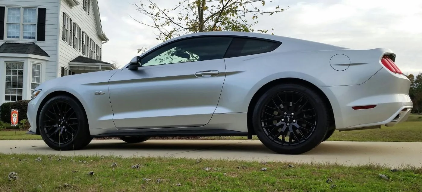 stang3.webp