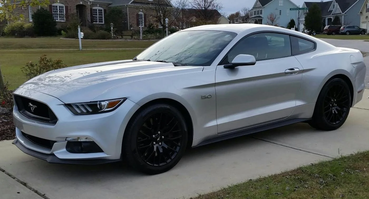 stang4.webp