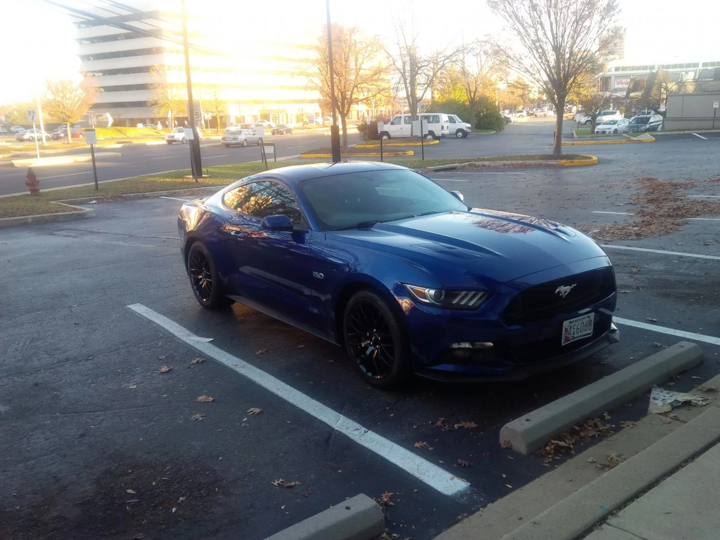 IMG_20151114_155042.webp