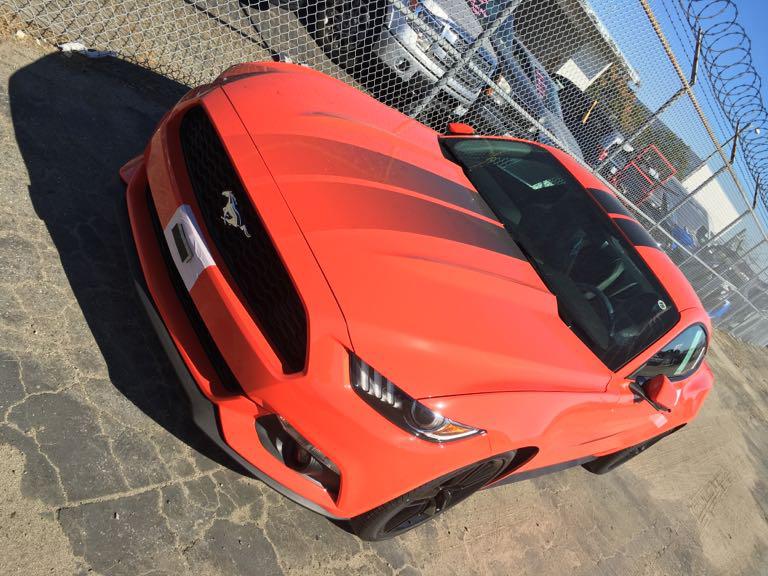 Mustang, Front.jpg