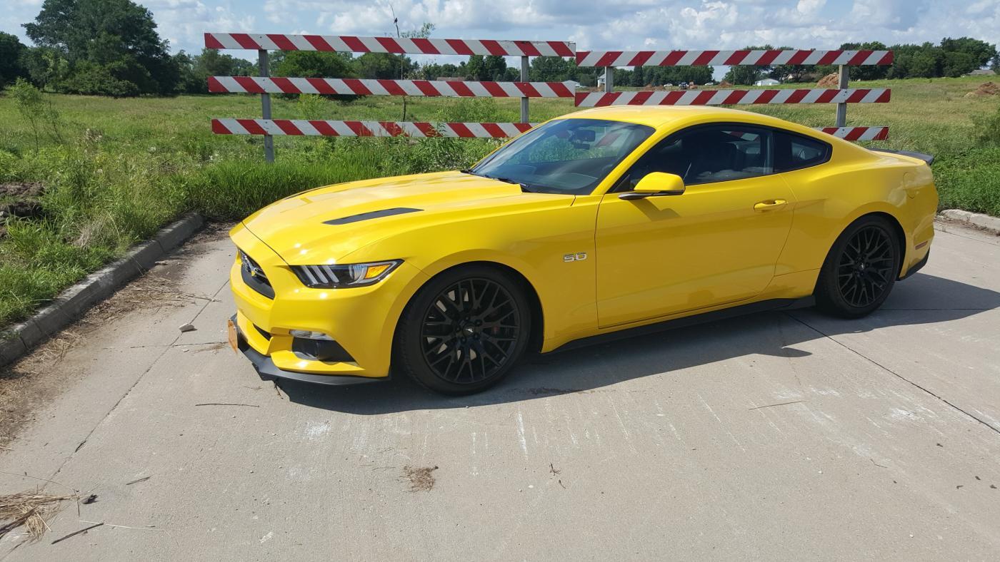 mustang1.jpg