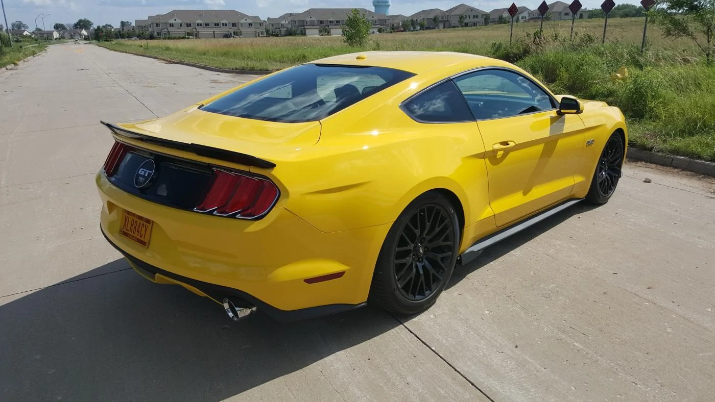 mustang2.webp