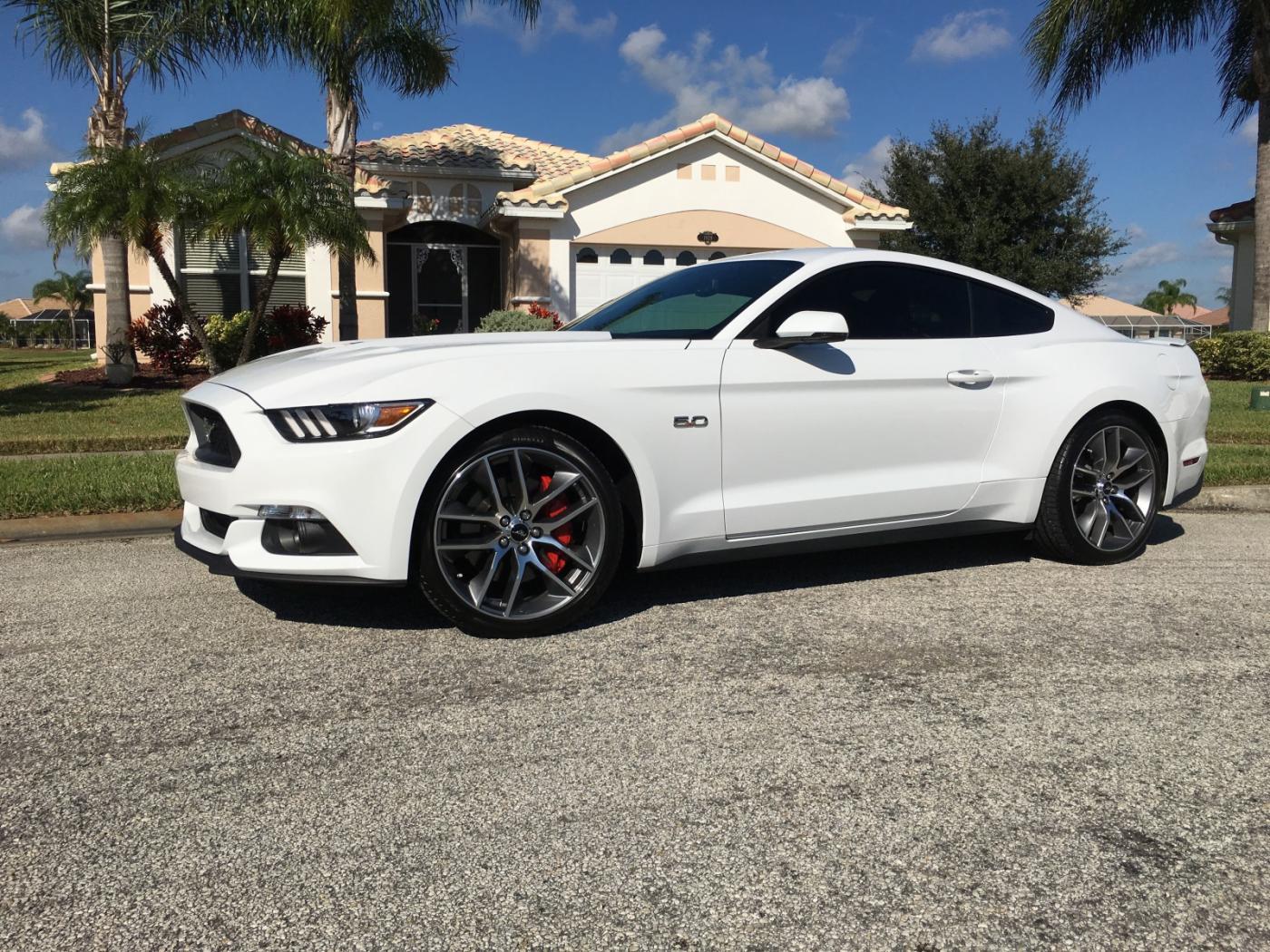 stang.jpg