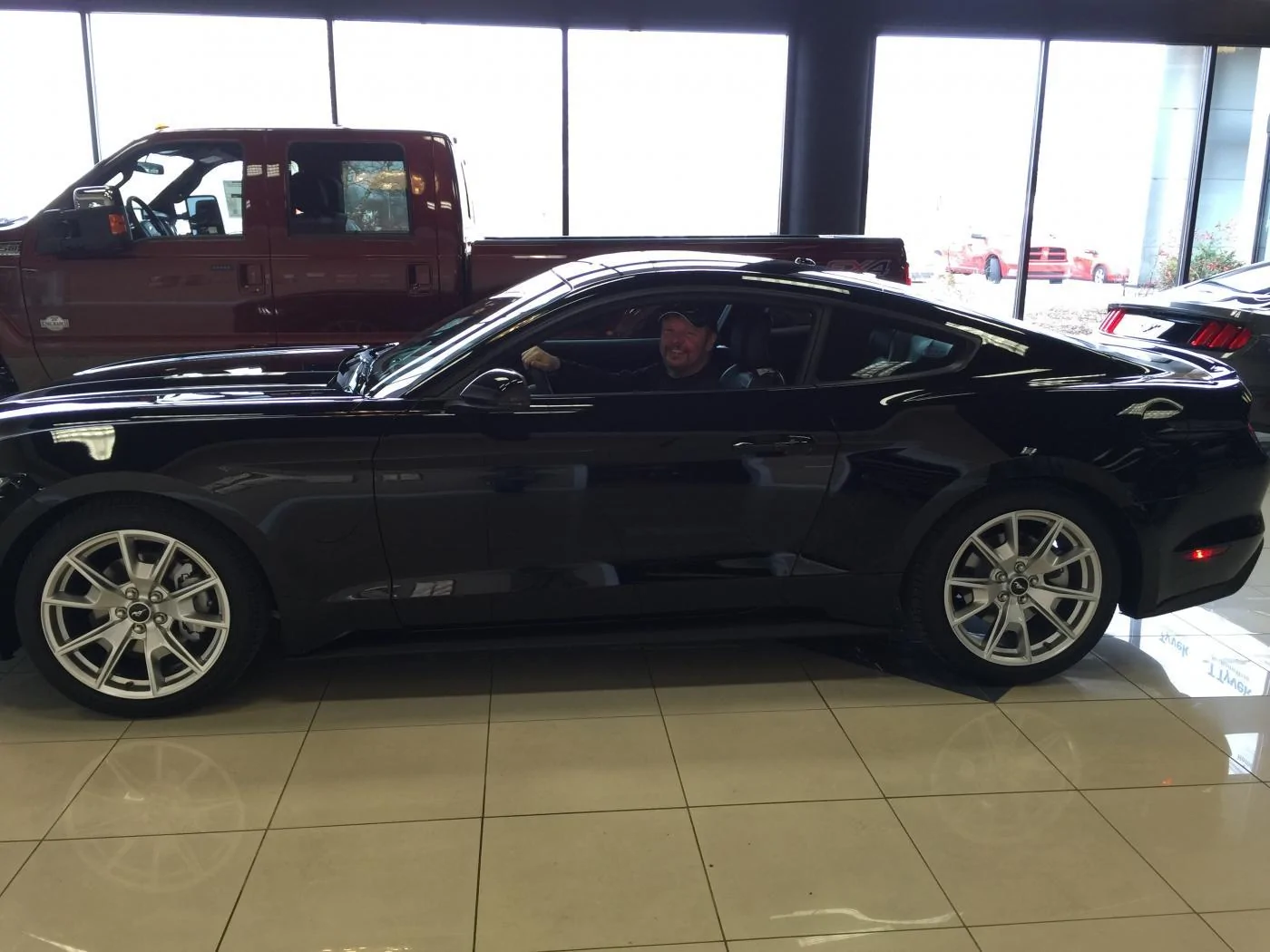 Mustang me.webp
