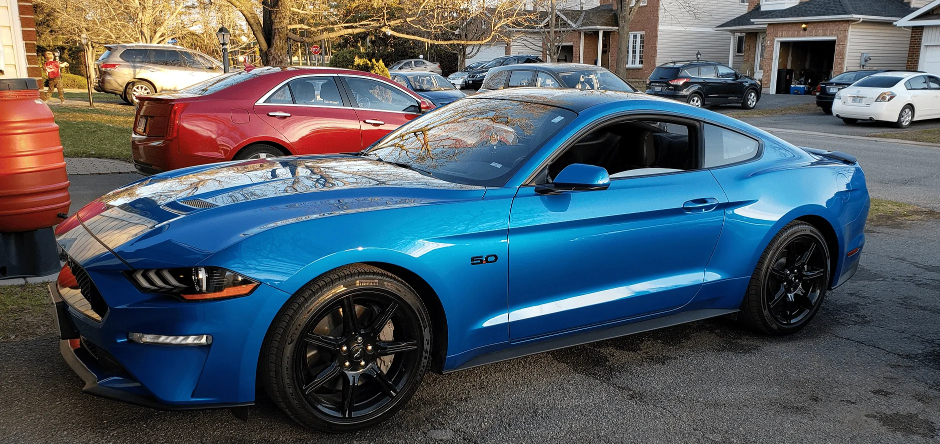 stang.webp