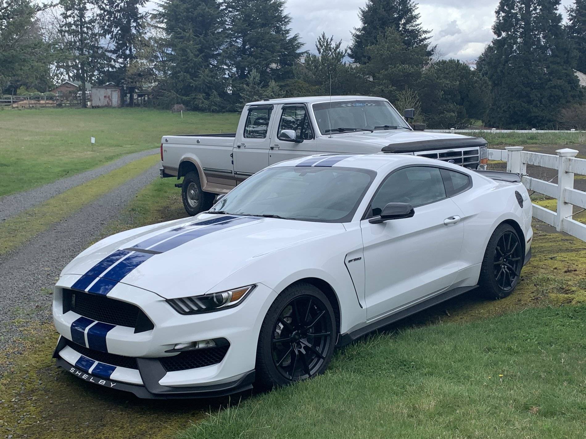 IMG_1465 gt350 n f350.JPG