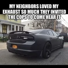 b994c3e563eab6584cc8baabea8431ff--auto-humor-car-humor.webp