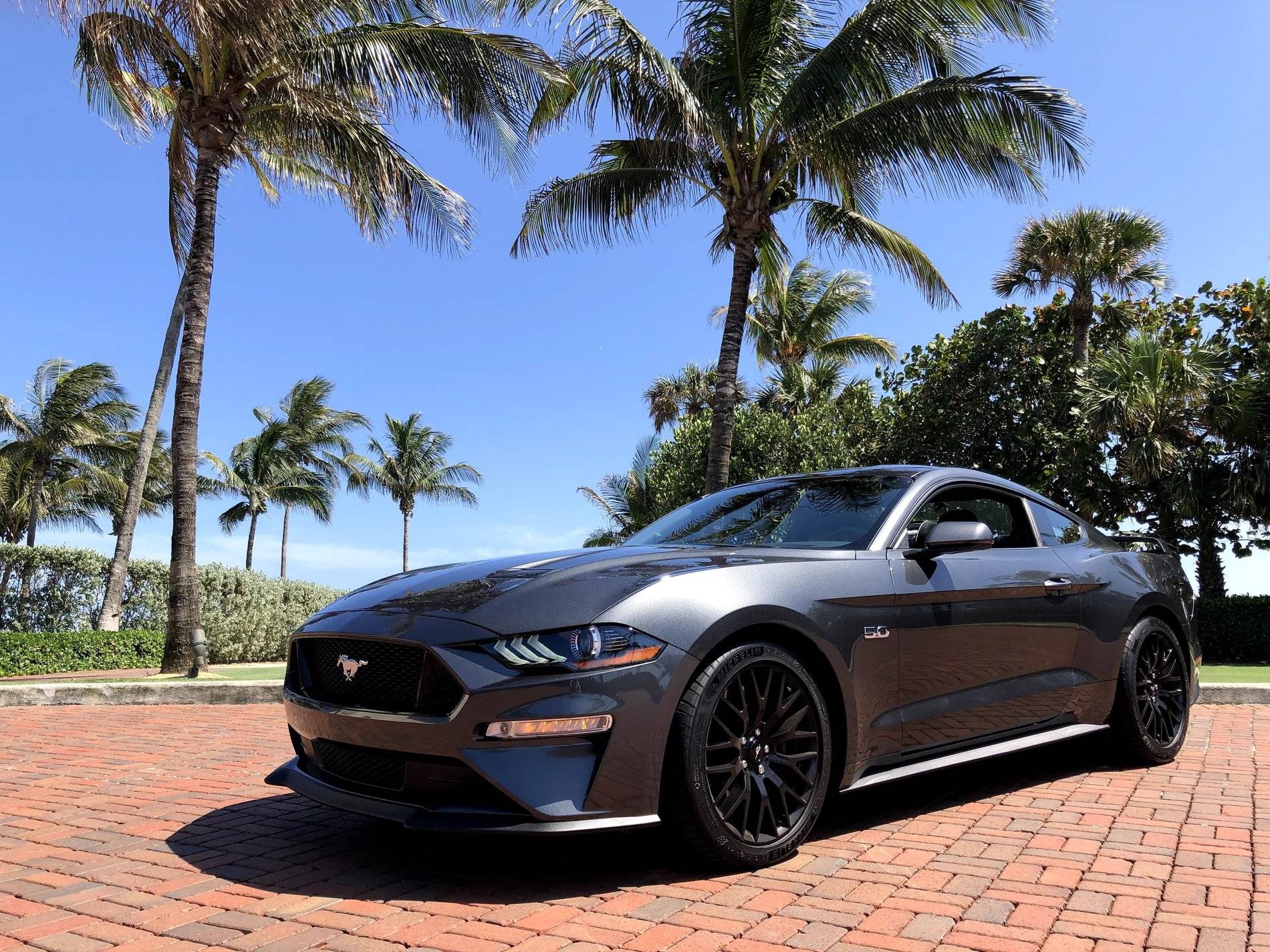 IMG_9376.jpg
