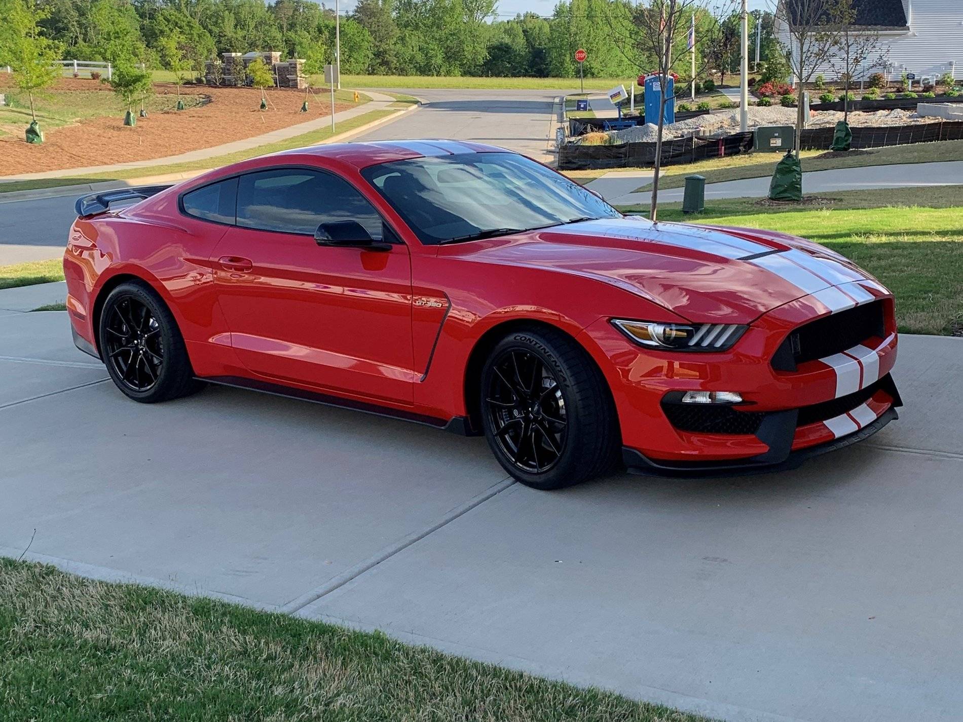 19GT350 (2).jpg