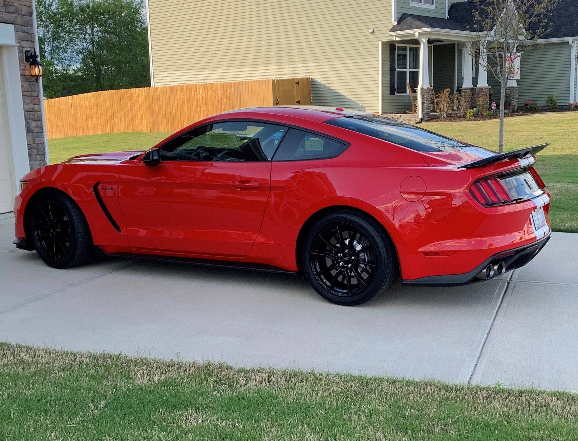 19GT350#2 (2).jpg