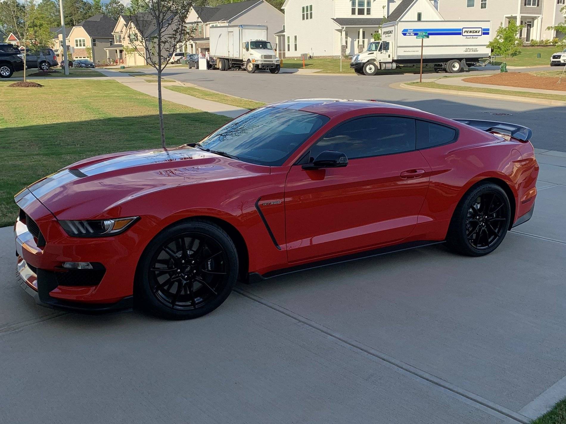 19GT350#3 (2).jpg