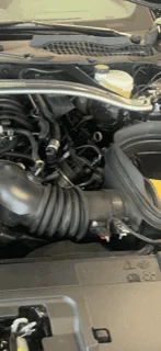 missing hose.webp