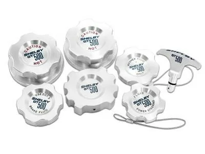 GT500 caps.webp